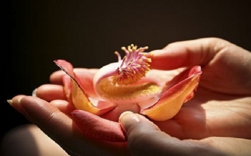 Một vài lời hay ý đẹp
